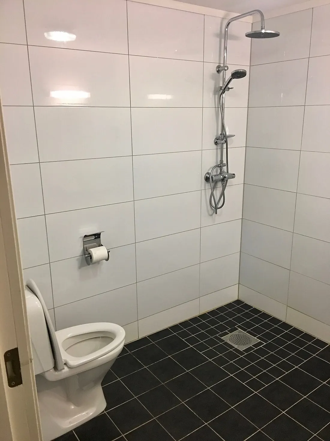 Shower Remodel in Grand Rapids